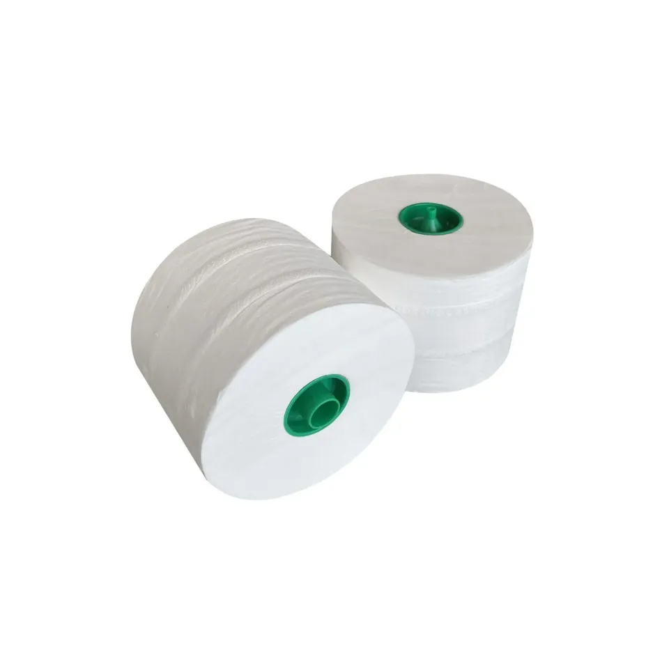 Cleanil 6598519 toiletrol met dop 2-laags 100m 36 rollen cellulose
